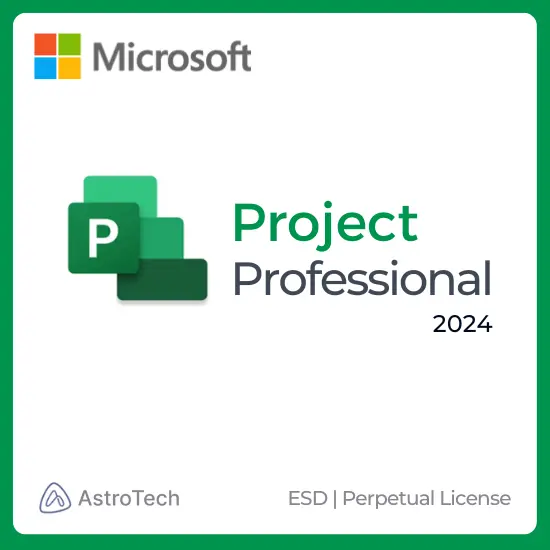 Microsoft Project Professional 2024 (ESD) (Perpetual)